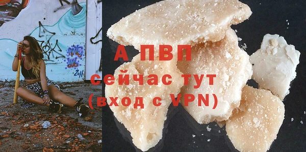 PSILOCYBIN Елабуга
