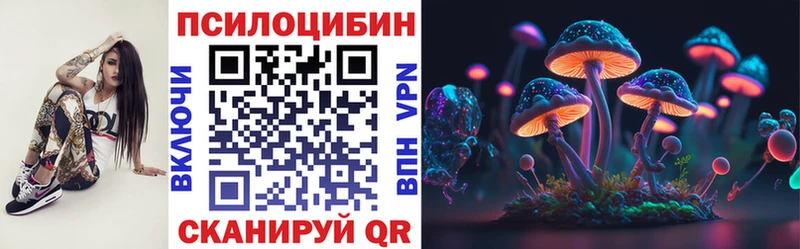 Купить закладки  Зубцов  Псилоцибиновые грибы Psilocybe 